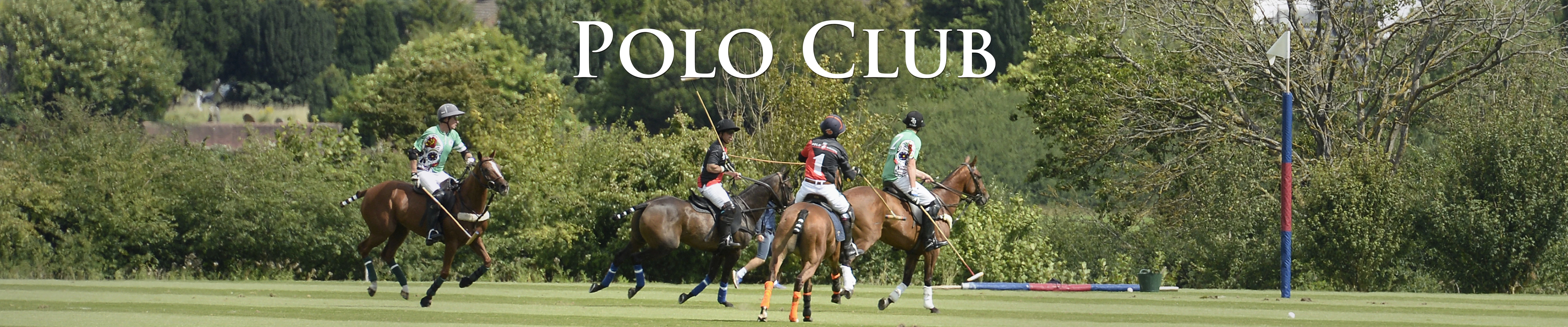 Polo Club