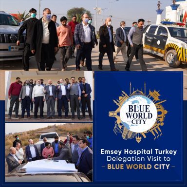 Emsey Hospital Turkey Delegation Visit to Blue World City