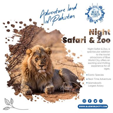 Night Safari & Zoo at BWC the Real Adventure